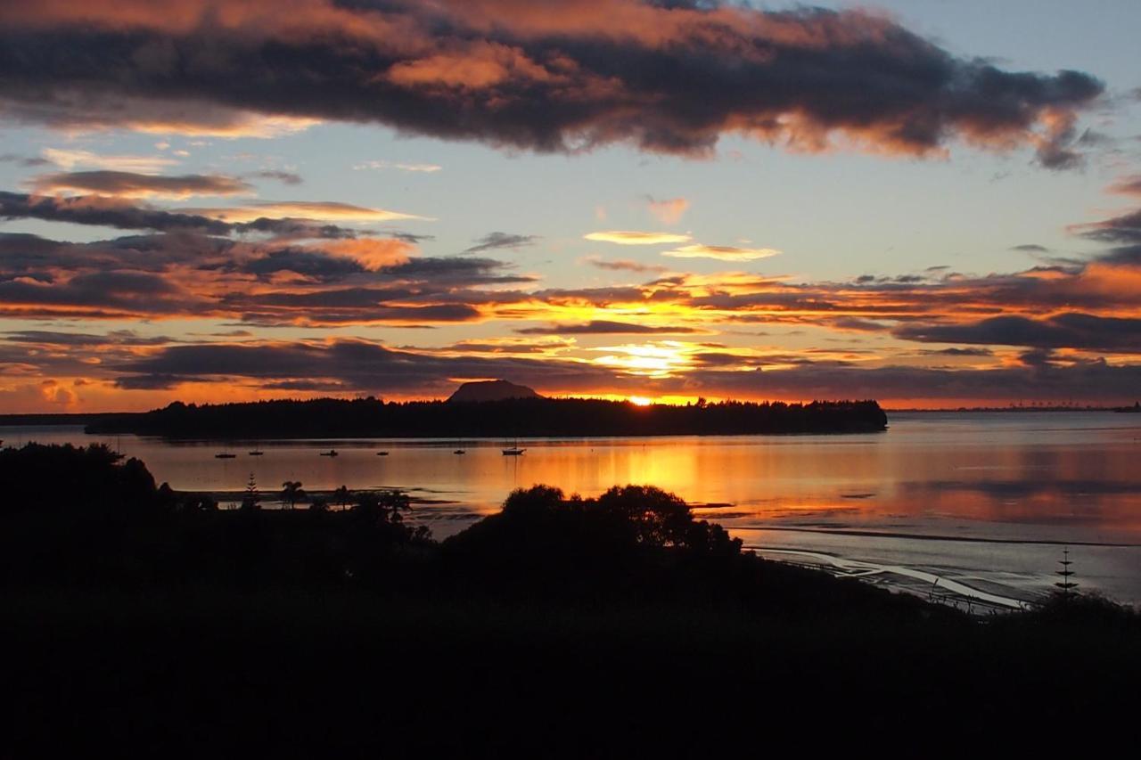 Mangawhai Bay B&B Omokoroa Екстер'єр фото